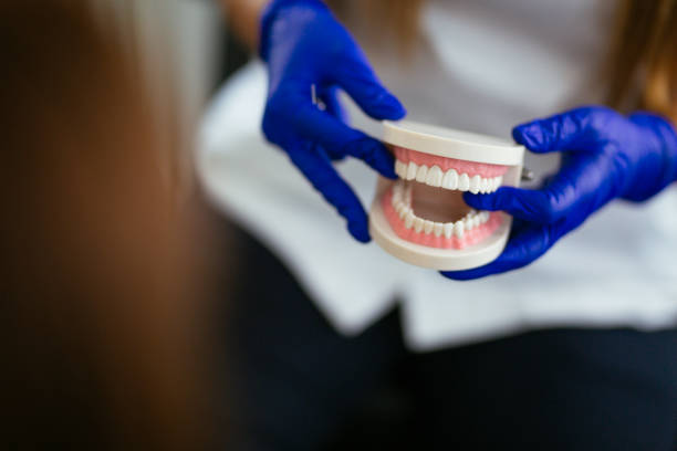 Best Root Canal Treatment  in Ridge Wood Heights, FL